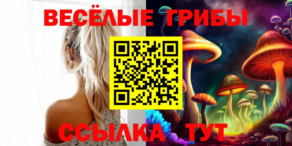 Псилоцибиновые грибы Magic Shrooms Екатеринбург