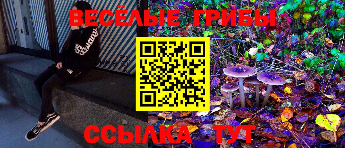 Екатеринбург  где купить наркоту  Вход с VPN  Псилоцибиновые грибы ЛСД  Галлюциногенные грибы MAGIC MUSHROOMS 