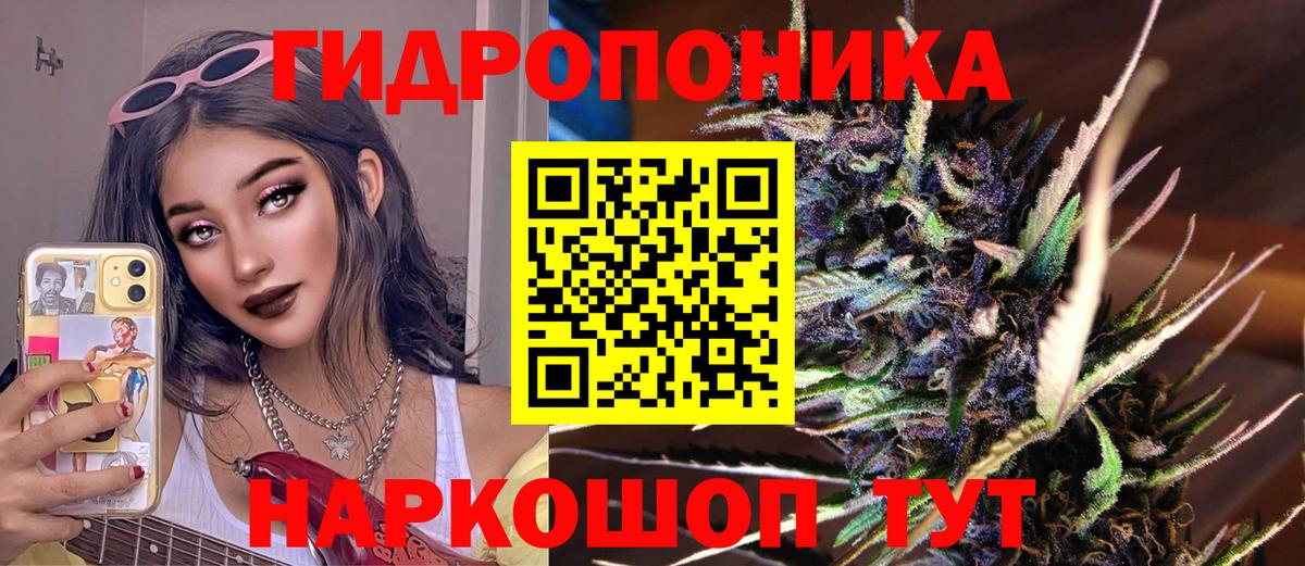 Марихуана сатива Екатеринбург